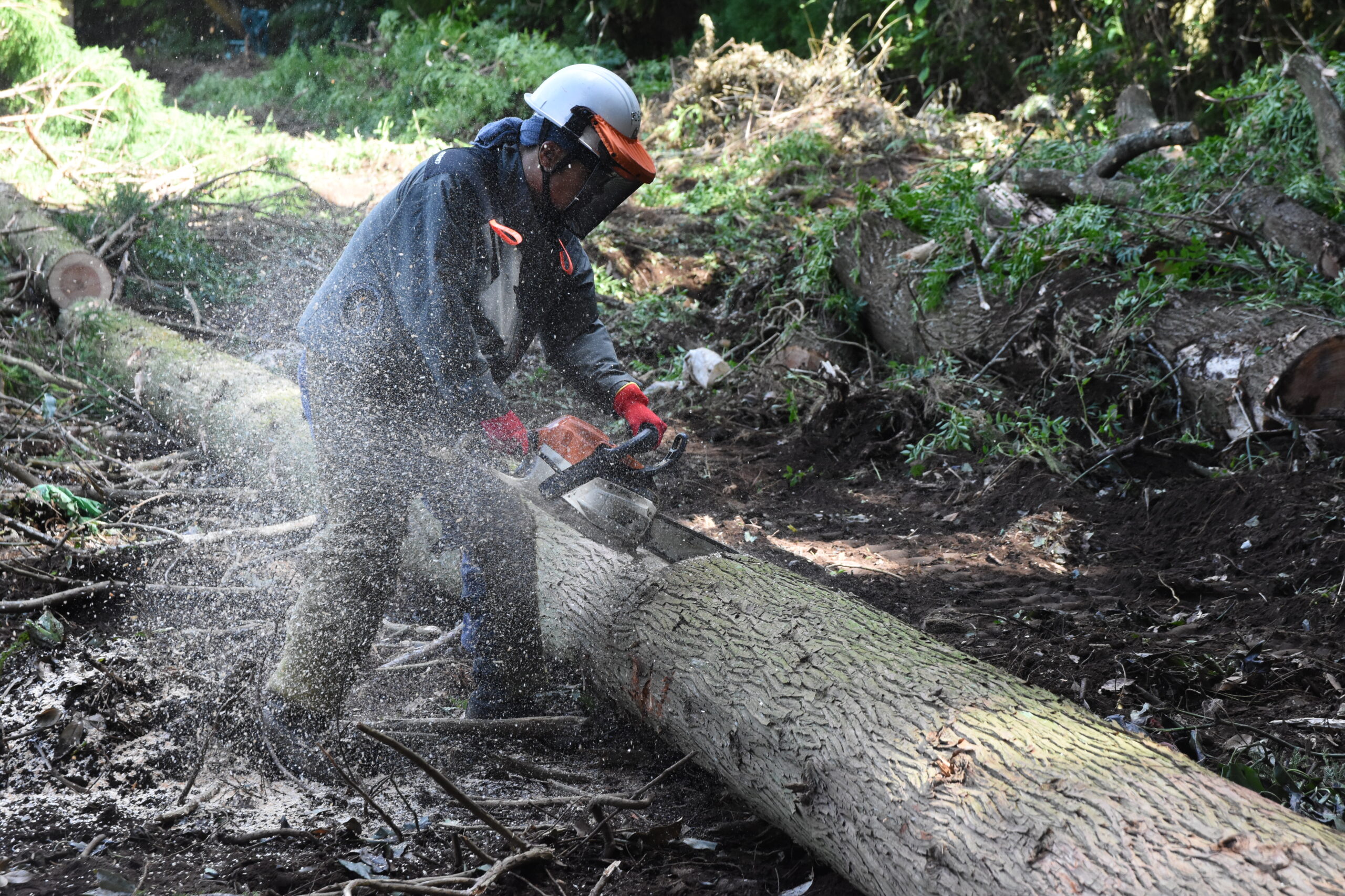 【古川事業所サービス様】ホームページ（ロケ現場撮影）