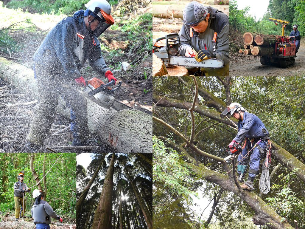 スクラップデザインのホームページ制作は工場や畑などの現場撮影が得意です