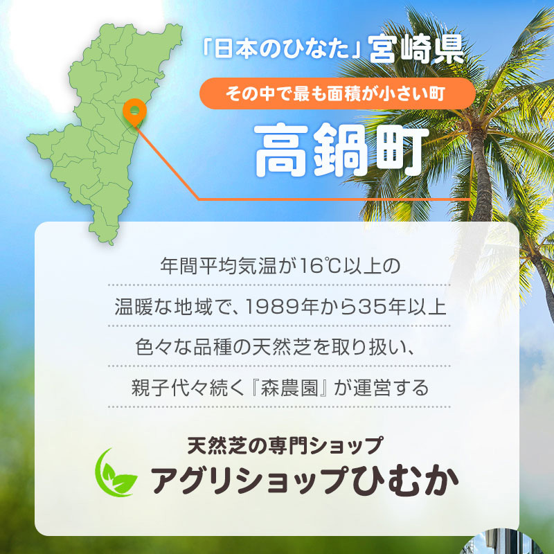 【森農園様】 人工芝（商品ページLP）楽天